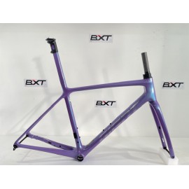 GIANT Telaio TCR Advanced SL Disc Digital Purple